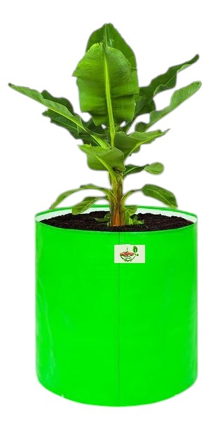 24 x 24 Inch Grow Bag - Premium HDPE Uv Protected 350 GSM - Image 2