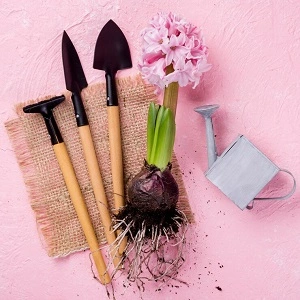 Garden Accessories