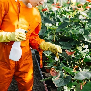 Nutrition and Pest Control