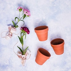 Pots