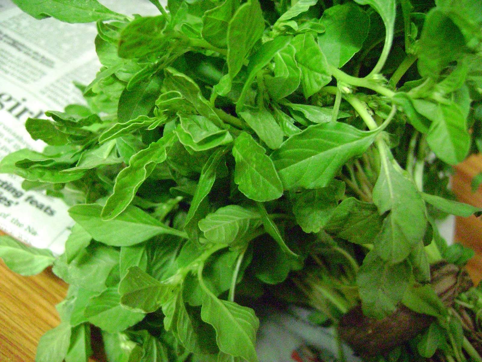 SIRU KEERAI | சிறுகீரை - Image 2